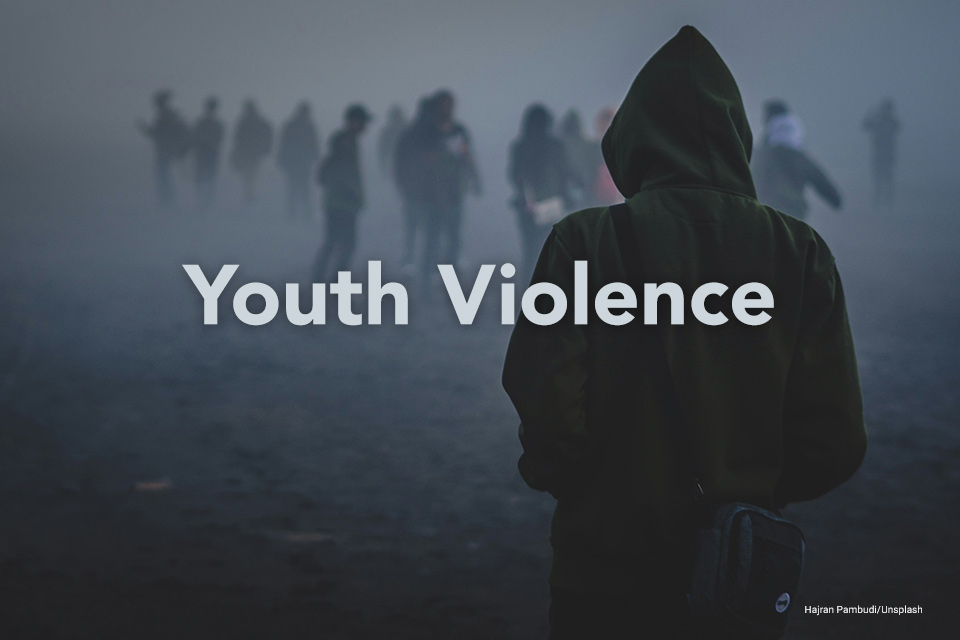 Teenage males carrying baseball bats Special Feature: Youth Violence text