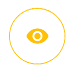 Our Vision