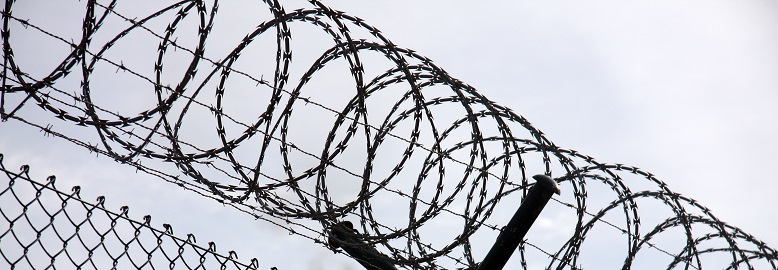 Picture of barbed wire fence