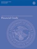 Financial Guide 2006 cover