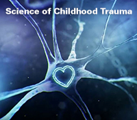 Science of Childhood Trauma