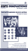 Cover: Combating Methamphetamine Laboratories and Abuse: Strategies for Success
