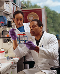 Man and woman inspecting test tubes