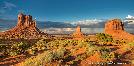 Image of desert terrain