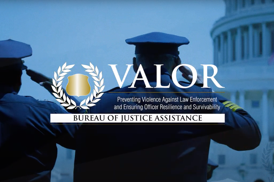 VALOR initiative logo