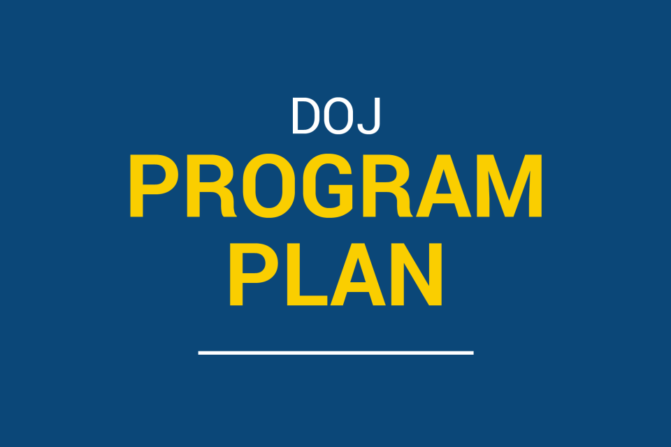 DOJ Program Plan