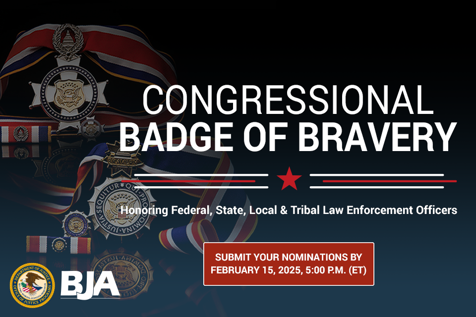 Congressional Badge of Bravery