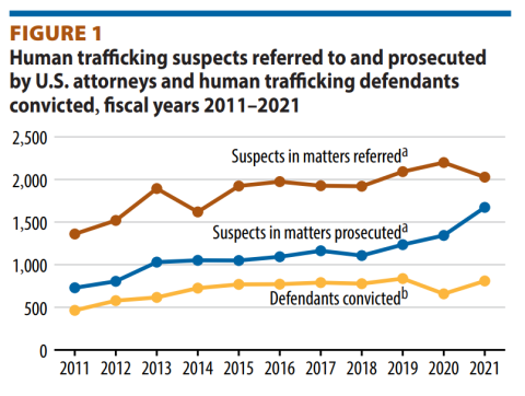 Human Trafficking Graph 2011-2021 Graph with three trend lines for: suspects in matters referred and prosecuted and defendants convicted
