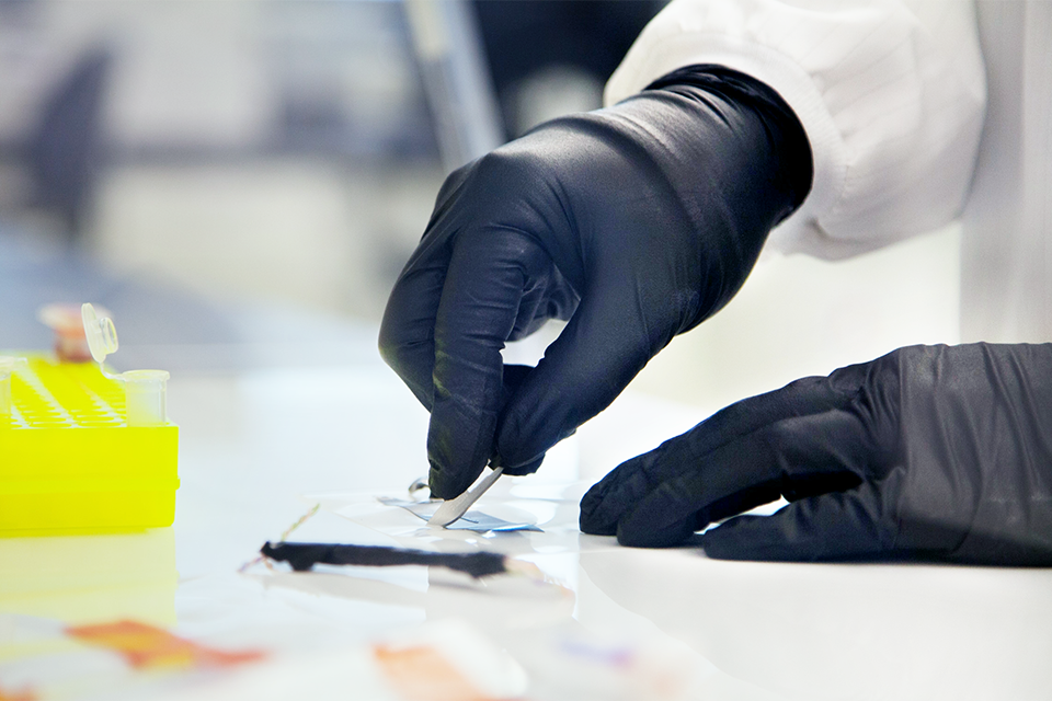 Hand slicing white blob with a scalpel