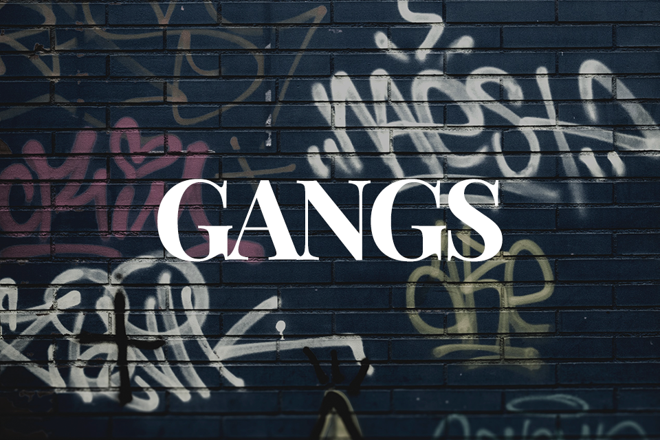 Gangs text over graffiti background