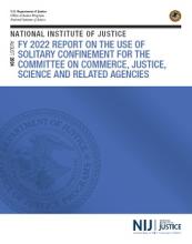 NCJ Number 309402 Thumbnail