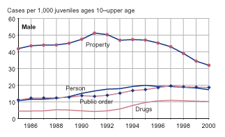 Figure showing male juvenile (ages 10-upper age) delinquency case rates for person, property, drug, and public order offenses from 1985 through 2000.