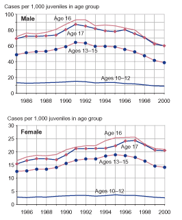 Two figures showing property offense case rates for male juveniles and female juveniles, respectively, by age group, for 1985 through 2000.